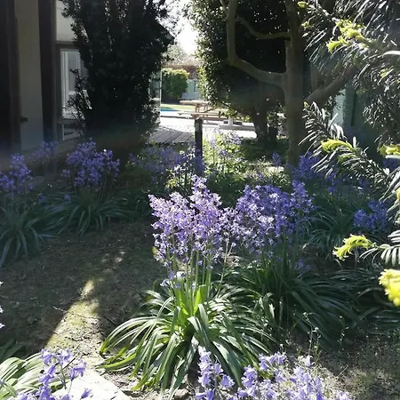 Nuvola